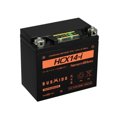 Мото BUSHIDO HCX14-i (YTX14-BS, 15,5Ah) пр