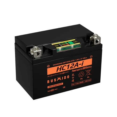 Мото BUSHIDO HC12A-i (YTX9-BS, 11,5Ah) пр