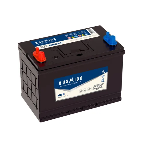 BUSHIDO MARINE DC24 (85D26) Пр